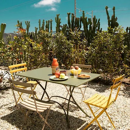 New Agriloft 3 Agave - Giardino, Wi-fi, Clima, A 50 Mt Dal Mare شقة